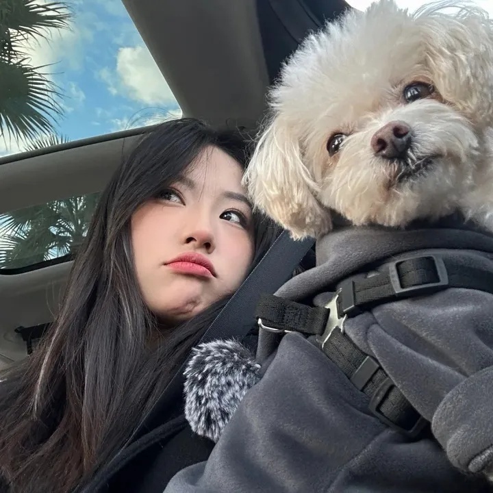 如何知道抖音谁举报自己,抖音被举报,真能知道谁是幕后推手吗?