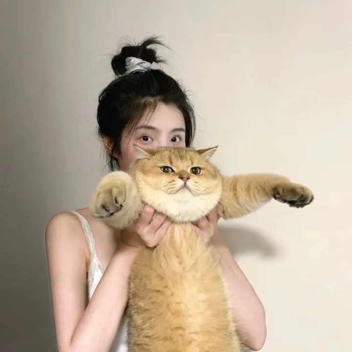 视频号随便发违规吗怎么举报，视频号随便发违规吗？别等封号才知错，手把手教你举报与自救